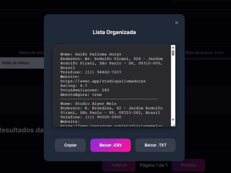 Passo 3: Exportação de leads para CRM e automação de follow-up.